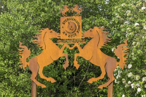 Sign of Sternstunde 2022 e.v. riding therapy, non-profit organisation, horse farm, Erdmannhausen,