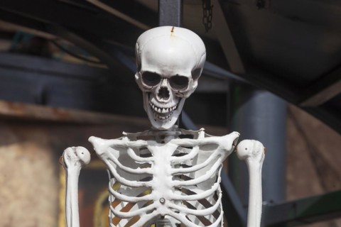 Skeleton with skull on a ghost train, decoration, figure at the Bremen Easter Fair, Buergerweide,