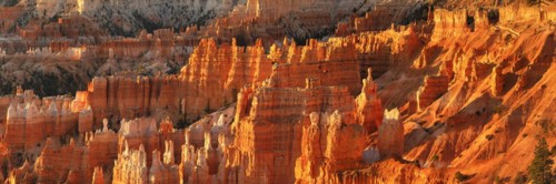 Bryce Amphitheatre at sunrise, Bryce Canyon National Park, Colorado Plateau, Utah, United States,