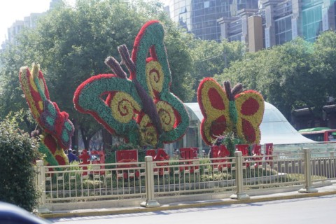 Stroll in Chongqing, Chongqing Province, China, Asia, Colourful flowering plant sculptures in the