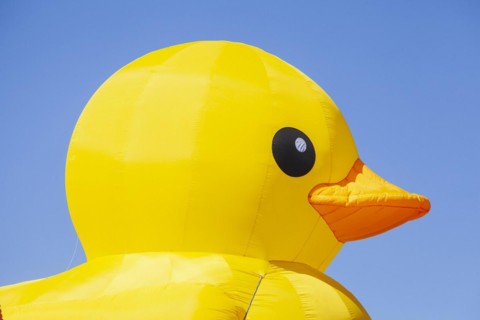Yellow duck, decoration, figure at the Bremen Easter Fair, Buergerweide, Bremen, Germany, Europe