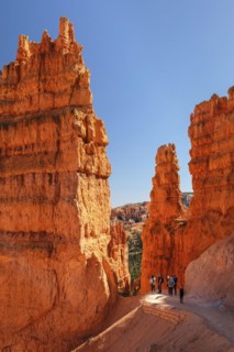 Hikers on the Queen's Garden Trail, Bryce Canyon National Park, Colorado Plateau, Utah, United