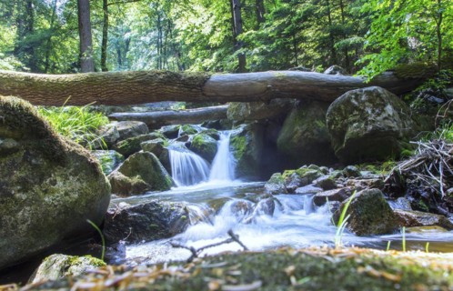 Ilse waterfall in the Ilse valley. The Heinrich Heine hiking trail leads through the Ilse valley to