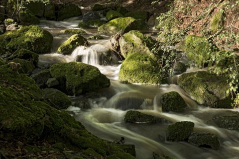 Mountain stream in the forest with mossy basalt rocks, blocks of basalt in the stream bed, Tertiary