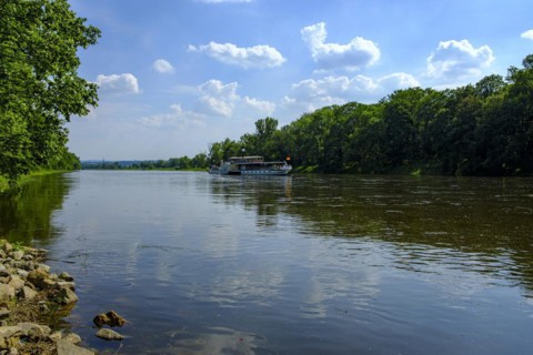 The historic paddle steamer KURORT RATHEN travelling backwards on the Elbe at the steamboat landing