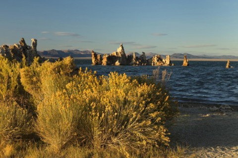 Tufa formations at Mono Lake, Mono Lake Tufa State Reserve, California, USA, Mono Lake Tufa State