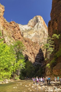 Hikers at the entrance to the Narrows, Narrows of the Virgin River, Zion National Park, Colorado
