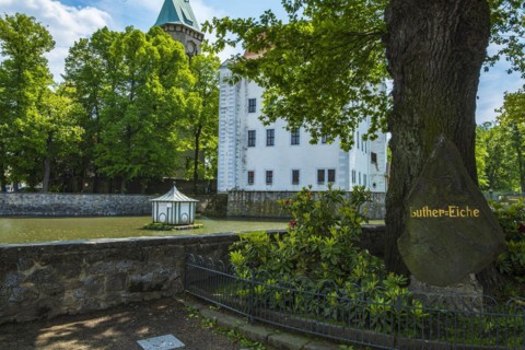 Luther oak in front of Schoenfeld Castle, also known as Germany's Magic Castle, a Renaissance