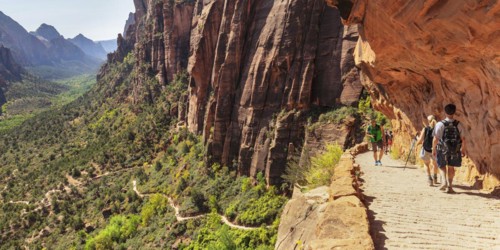 Hikers on the Angels Landing Trail, Zion National Park, Colorado Plateau, Utah, USA, Zion National