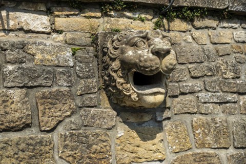 Lion's head, architectural details of Pillnitz Castle on the edge of the Elbe cycle path in
