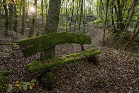 Weathered, rotten and mossy bench made of rough wooden planks, autumn leaves, sun star, beech