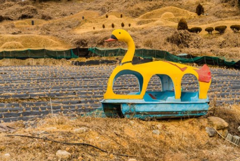 Abandoned yellow and blue duck boat on dry land next to field with grave mounds covered with brown