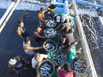 Fishermen unload their catch from their outrigger boat in the morning. Amed, Karangasem, Bali,