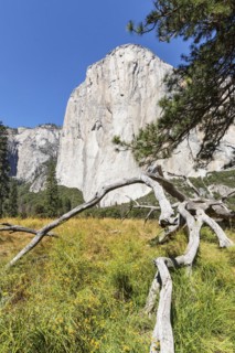 El Capitan, Vosemity Valley, Yosemite National Park, California, United States, USA, Yosemite