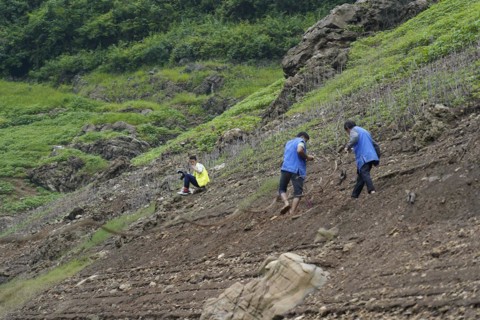 Yichang, China, Asia, Several workers carry out fortification work on an eroded slope, Hubei