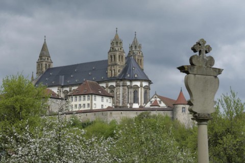 View of the Comburg, fruit blossom, fruit tree, spring, April, Way of St James, Benedictine