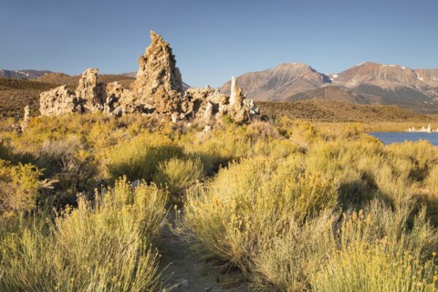 Tufa formations at Mono Lake, Mono Lake Tufa State Reserve, California, USA, Mono Lake Tufa State