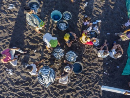 Fishermen unload their catch from their outrigger boat in the morning. Amed, Karangasem, Bali,