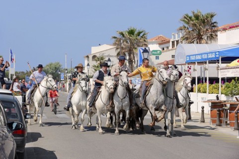 Riders on Camargue horses drive Camargue bulls through the streets of Les-Saintes-Maries-de-la-Mer