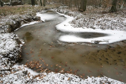 Rotbach, near-natural stream, beech forest, with ice and snow, between Bottrop and Oberhausen, Ruhr