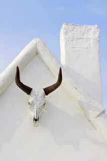 Camargue bull skull on a house wall, Notre Dame de la Mer, Saintes-Maries-de-la-Mer, Camargue,
