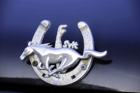 Westerland, Sylt, Schleswig-Holstein, Shiny radiator mascot with horse and horseshoe on a car,