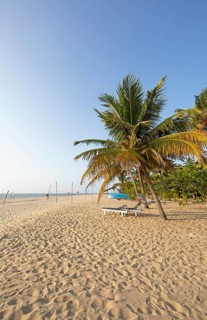 Evening atmosphere at Marari Beach, Mararikulam, Alappuzha district, Kerala, India, Asia
