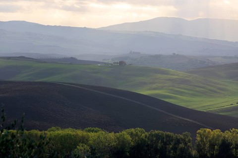 Morning light illuminates the rolling hills and groups of trees in atmospheric Tuscany, Italy,