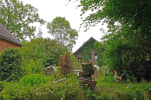 Spreewald, biosphere reserve, Brandenburg, Germany, Europe