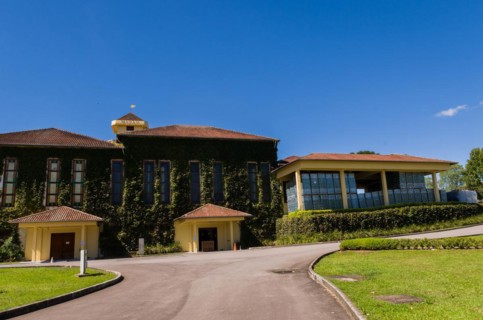 Bento Golcalves, Brasil, April 07, 2017: Luxury Winery, Vineyard of grapes in the Vale dos Vinhedos