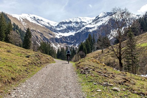 E-bike rider in Dietersbachtal, behind Rauheck, Sattel and Kreuzeck, near Oberstdorf, Allgaeu Alps,