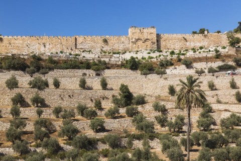 Cemetery with olive trees and fortified stone wall with Golden Gate, Old City of Jerusalem, Israel,
