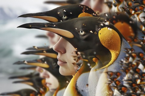 Imaginary penguin with human face and eyes, AI generated