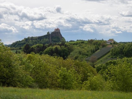 Forest edge, Riegersburg Castle in the background, Styrian volcanic country near Riegersburg,