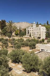 Cemetery with olive trees at the foot of the fortified stone wall of the Old City of Jerusalem,