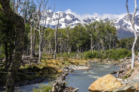 Glacier stream with Skottsberg in the background, Routa Y-85, Timaukel, Tierra del Fuego,