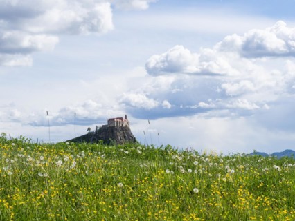 Flower meadow, behind Riegersburg, Styrian volcanic region, Styria, Austria, Europe
