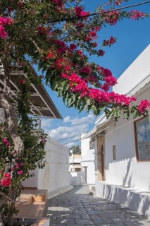 Old town alley in Lindos, Rhodes, Dodecanese archipelago, Greek islands, Greece, Europe