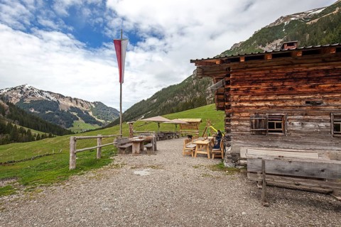 Naturalpe Gemstel-Schoenesboden-Alpe, behind Walmendinger Horn, Gemsteltal, Mittelberg,