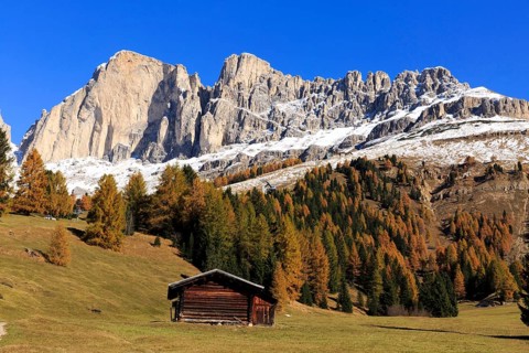 Log cabin in a meadow in front of snow-covered mountain peaks in autumn, Italy, Alto Adige, Bolzano