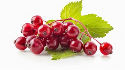 Fresh red currants with a vibrant green leaf, illustrating ripeness and natural beauty, AI