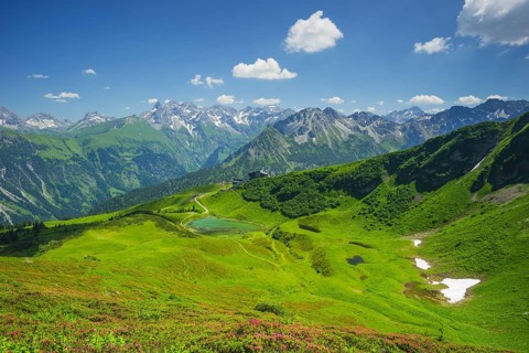 Alpine rose blossom, panorama from the Fellhorn over the Schlappoldsee and mountain station