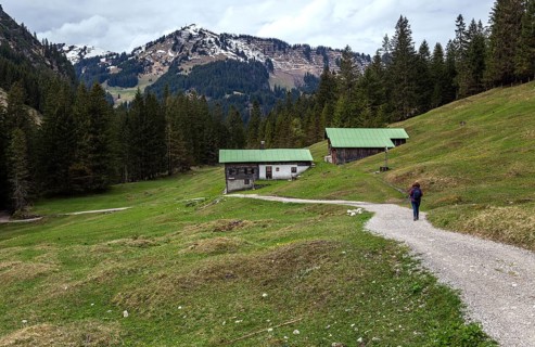 Tonisgemstel-Alpe, behind Walmendinger Horn, Mittelberg, Gemsteltal, Kleinwalsertal, Vorarlberg,