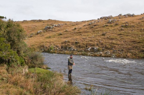 Fisherman fly fishing rainbow trout on mountain in beautiful scenery