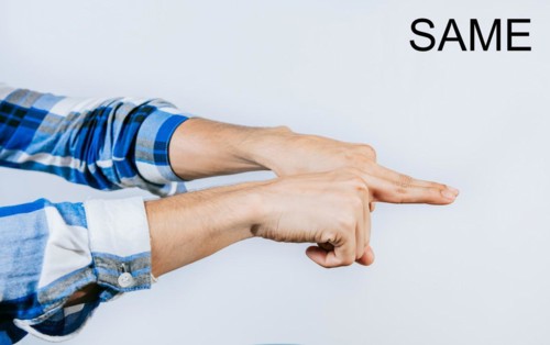 Hand showing word SAME gesture in sign language isolated. Man hand gesturing the word SAME in ASL