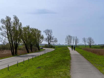 Walkers on a cycle path in the countryside, Moenchgut, Ruegen, Mecklenburg-Western Pomerania,