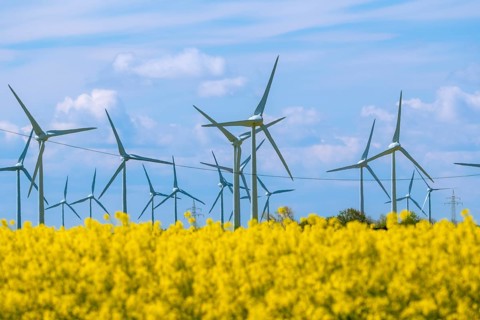 Wind turbines in the Luetetsburg wind farm behind a rape field on the North Sea coast, Hagermarsch,