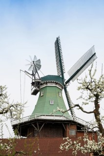 Historic windmill and blossoming fruit trees, three-storey gallery cottage, Twielenfleth, Altes
