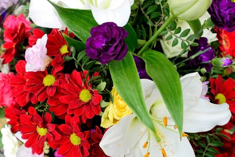 Colourful bouquet of white Lily, (Lilium candidum) red and purple flowers, flower sale, Hamburg