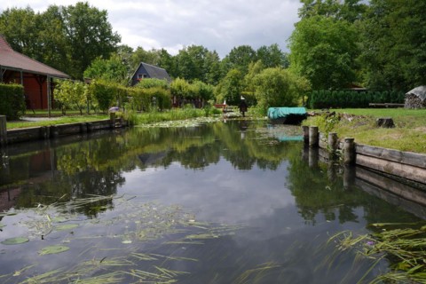 Spreewald, biosphere reserve, Brandenburg, Germany, Europe